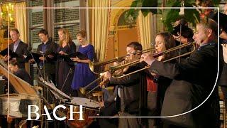 Bach - Cantata Auf, schmetternde Töne BWV 207a - Van Veldhoven | Netherlands Bach Society