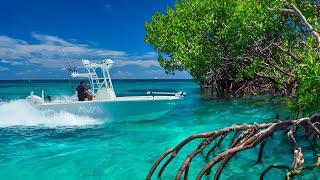 Boat Crashes into Mangroves.. Deep Sea Swordfish Mahi & Grouper