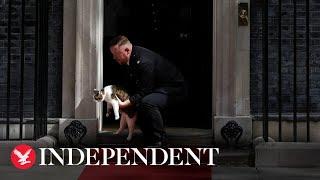 Downing Street staff booed as they remove Larry the cat from No 10's doorstep