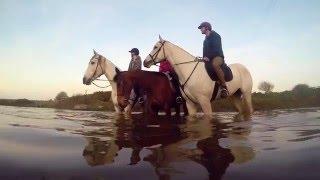 Cotts Equine Hospital Tour