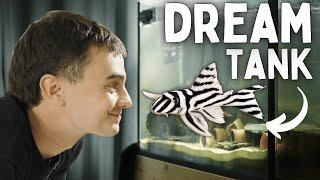 Zebra Plecos Are SO Picky – Let’s Get This Right!