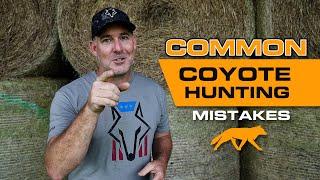 Coyote Hunting Mistakes You May Be Making