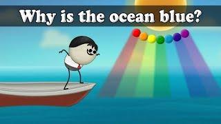 Why is the ocean blue? | #aumsum #kids #science #education #children