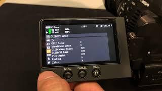 Canon C100 mkii - Selecting Picture Profile and View Assist