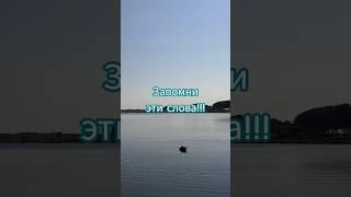 Эта фраза изменит вашу жизнь навсегда