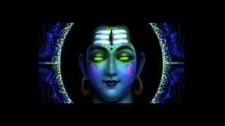 The World Of Goa Trance Vol. 2