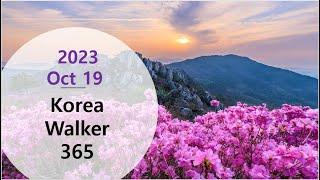 [4K] Korea Walker 365 "HurJun Park Area Walking Route in GangSeo Ku Nearby Han River" of Korea