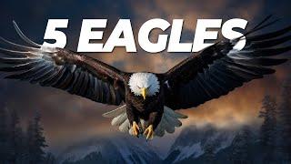 Follow These 5 Eagles & You'll Succeed in Anything