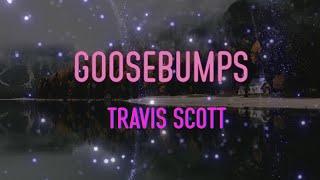 Travis Scott - goosebumps Lyrics | When you throw that to the side, yeah