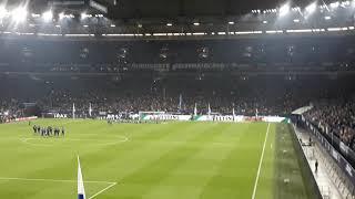 Stimmung nach dem Spiel/Schalke vs mainz/ Schalke ist die macht