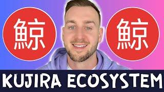 KUJIRA ECOSYSTEM EXPLAINED