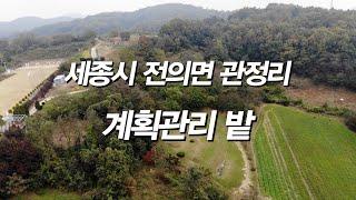 세종시 전의면 관정리 계획관리 밭 779평 매매 - 2억  [세종시참착한부동산]