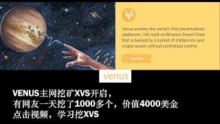 VENUS主网上线，开挖XVS， 如何挖矿，收益多大，目前是BSC上收益最高的项目