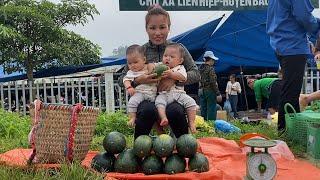 Single mom - Harvesting watermelons to sell, raising two small children, life is difficult
