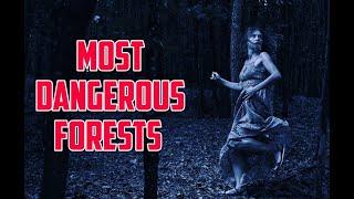 Top10 Most Dangerous and Unusual Forests in the World