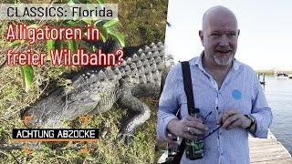 Alligatoren und teure Tours!  Unnötige Fahrt durch die Everglades! | Achtung Abzocke CLASSICS