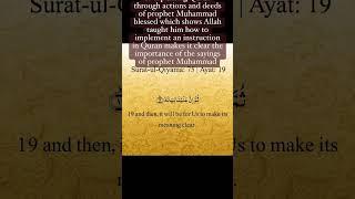 Importance of saying of prophet muhammad sw