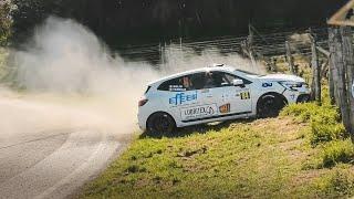 Rally Vigneti Monferrini 2024 • Best Of [Crash, Action & Mistakes]