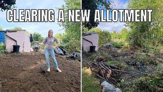 HOW TO CLEAR AN ALLOTMENT/ ALLOTMENT GARDENING FOR VERY BEGINNERS