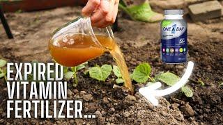 Expired Multivitamins as Plant Fertilizer? Here’s What You Need to Know!