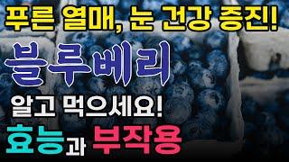 블루베리의 효능과 부작용 + 꿀팁! | 항산화 파워 & 눈 건강 챙기기