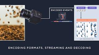 Metavision Training Videos | Encoding Formats, Streaming and Decoding