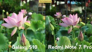 Redmi Note 7 Pro vs Samsung Galaxy S10 Camera Comparison. #GalaxyS10 #RedmiNote7Pro  #TECHBUKHAR