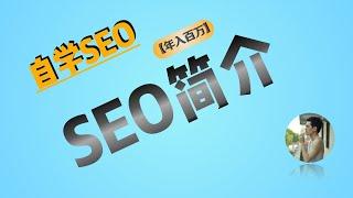 SEO入门教程 ｜ 搜索引擎｜SEO｜为什么做SEO｜SEO发展史｜黑帽SEO｜白帽SEO｜做SEO的人的结局