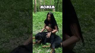как вы спасаетесь от жары? #собака #кинолог