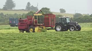 Classic Silage Harvesting at Ahiohill Vintage