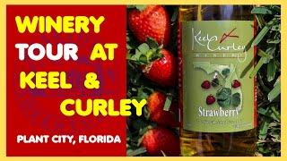 WINERY TOUR at KEEL and CURLEY: ( Amesome place here in Florida )