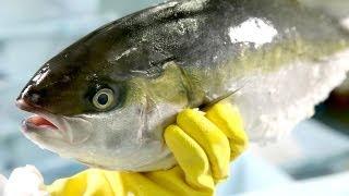 Frischen Fisch erkennen - Die Fischexperten von Deutsche See verraten ihre Tipps & Tricks