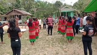 tradisi dayak ketungau hilir dalam penyambutan tamu...