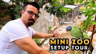 Mini Zoo ka Complete Tour Kra Diya Aaj  Zahid Birds Setup Tour