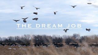 Huge Lesser Flocks Quick Limits | The Dream Job Season 4 Episode 14