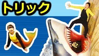 「ひめちゃんが人魚になったよ～！」熱海トリックアート前編Atami Trick Art Museum 1