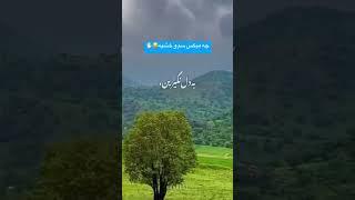 کلیپ لری