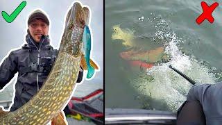 TOBIAS LOSES HIS BIGGEST PIKE THIS YEAR - Fishing Big Fish in Huge Bodies of Water | Team Galant