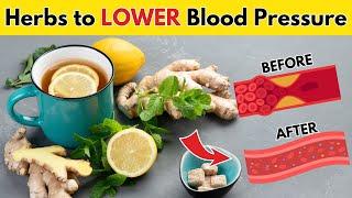 10 Herbs That Naturally Lower Blood Pressure