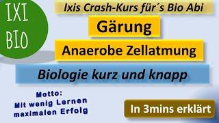 Gärung in 3mins erklärt - Biologie kurz und knapp - anaerobe Zellatmung Vorbereitung Biologie Abitur