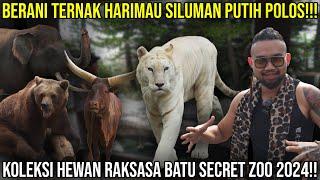 BERANI TERNAK HARIMAU SILUMAN PUTIH POLOS!!! KOLEKSI HEWAN RAKSASA BATU SECRET ZOO 2024!