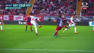 Especial goles Necaxa Clausura 2019 |  Clausura 2019   | LIGA Bancomer MX