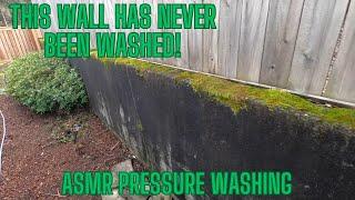 ASMR Pressure Washing, AMAZING results, #ASMR, #pressurewashing, #satisfying,