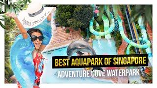 Best things to do in Singapore: Adventure Cove Waterpark