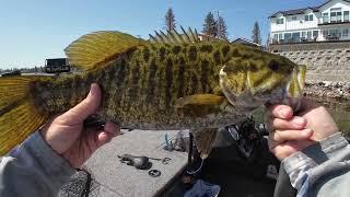 4 pound Smallie!    "What Lake am I fishing?!" 
