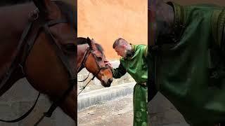 Gentle and Domineering Man in Mongolian Robe Zeqiqi Mongolian Beauty Alatenggardi
