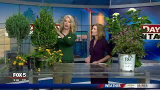 Pruning tips with Pike Nurseries and Joanne Feldman