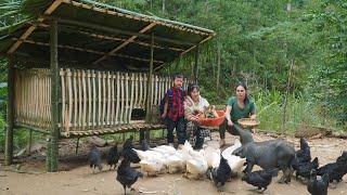 how to build a duck coop with bamboo, farm life, SURVIVAL ALONE