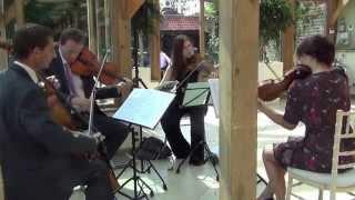 Bad Romance, Lady Gaga - Capital String Quartet