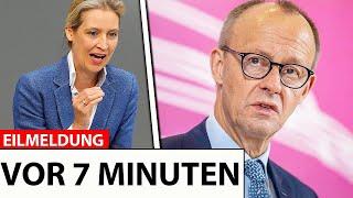 Alice Weidel ZERSTÖRT die Pläne von Friedrich Merz!